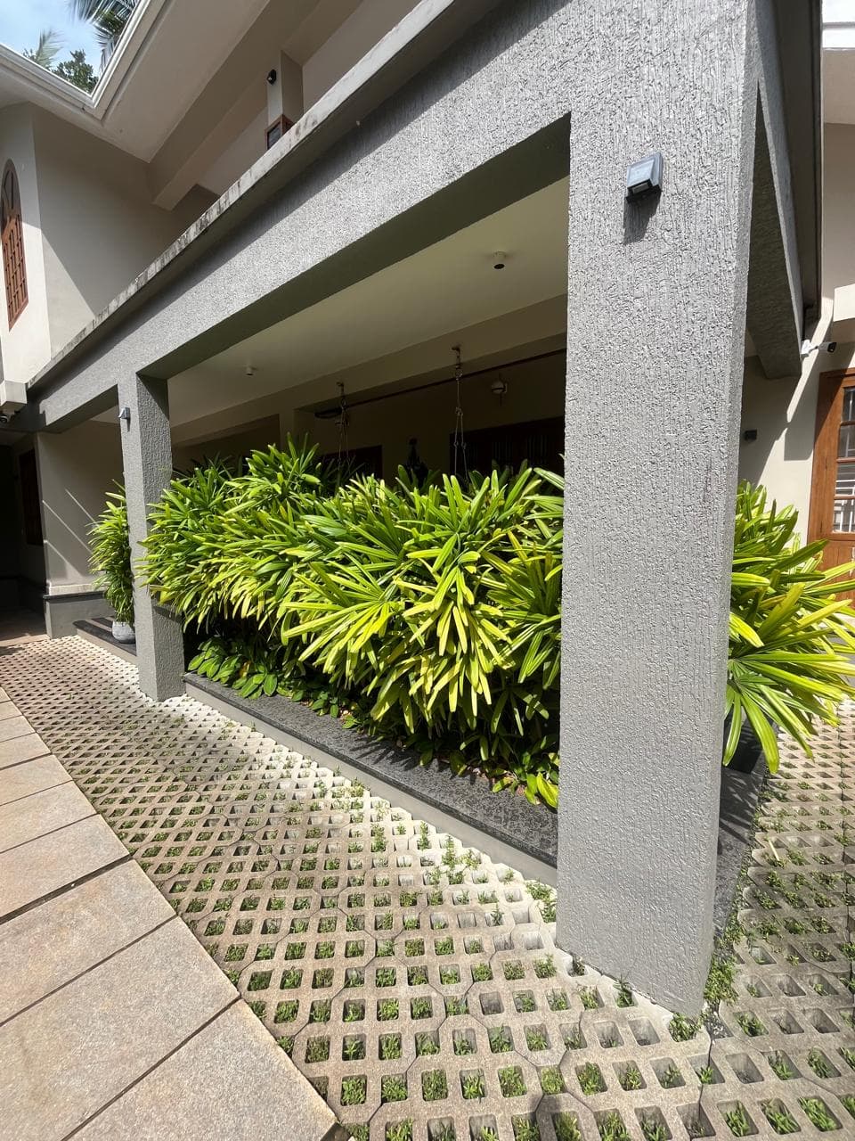Tropical Plant Mix